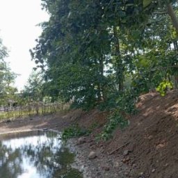 Niwelacja terenu Kampinos 3