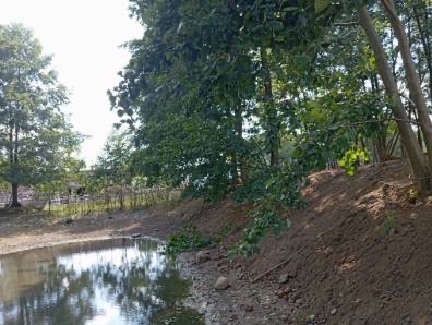 Wykończony brzeg wykopanego stawu, obsadzony zielenią. Woda odbija niebo, a ziemia jest świeżo wyrównana. Widok na otoczenie stawu z drzewami.