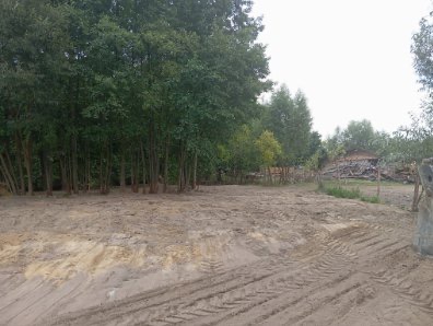 Wyrównany, piaszczysty teren z widocznymi śladami opon, otoczony drzewami. W tle widoczny stos gałęzi i ziemi. Teren przygotowany pod budowę.