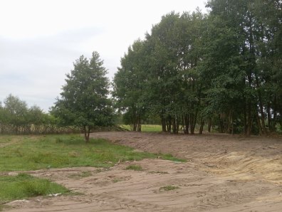 Wykarczowany teren pod budowę, widoczne ślady opon na piasku, drzewa w tle. Przygotowany obszar z pozostałościami trawy i drzew.