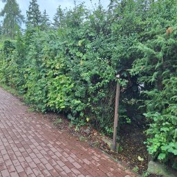 Płyta karton gips Warszawa 3