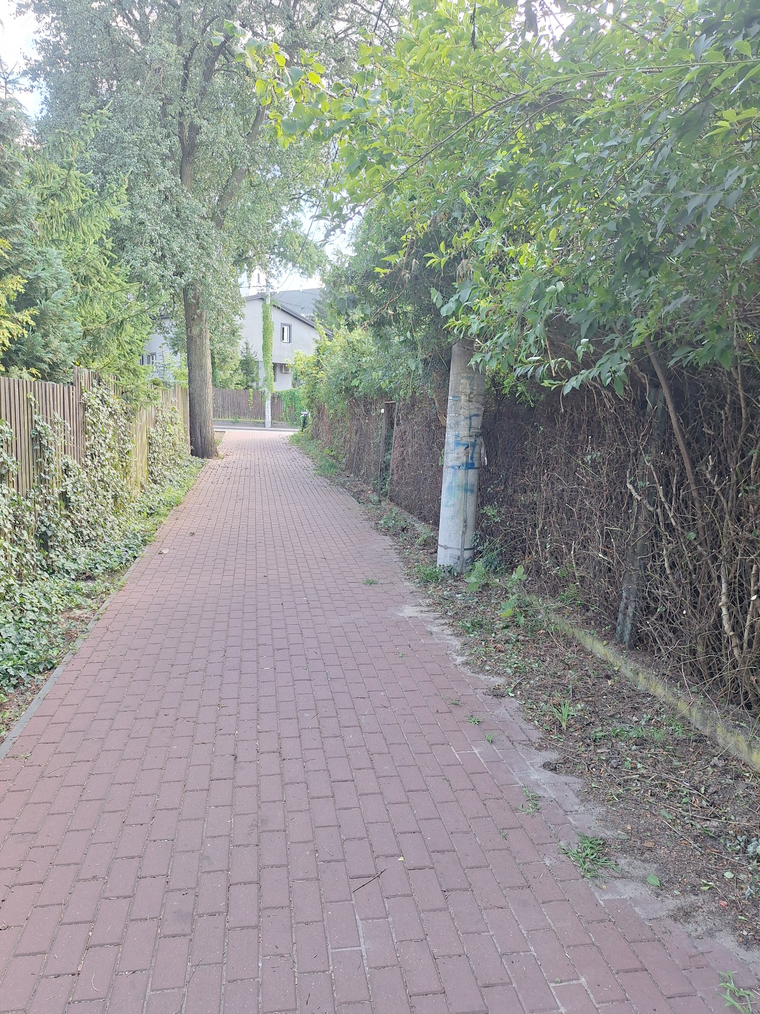 Ceglana ścieżka wzdłuż zarośniętego żywopłotu i drewnianego płotu, prowadząca w kierunku domu. Widoczne drzewa i słup z niebieskimi oznaczeniami.