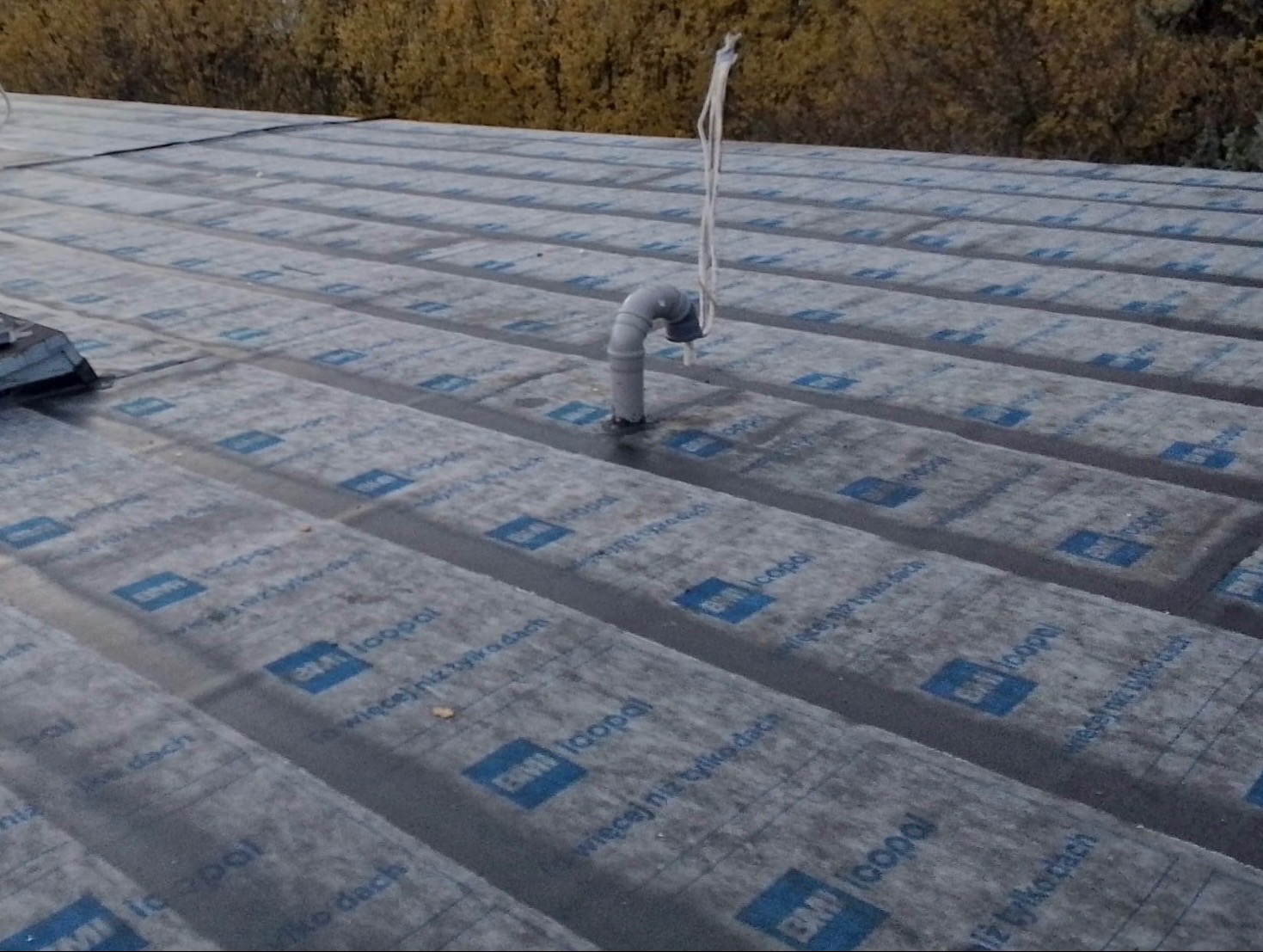 Dach pokryty papą z logo Icopal, z wystającą rurką wentylacyjną. Widoczne pasy papy ułożone równolegle. Tło z drzewami w jesiennej kolorystyce.