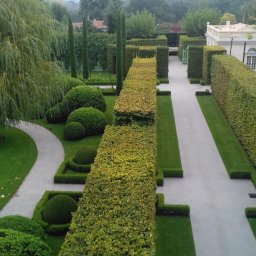 Sadzenie drzew Bydgoszcz 1