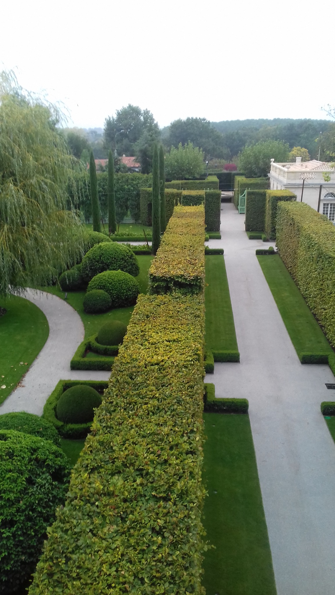 Geometryczny ogród z równo przyciętymi żywopłotami, ścieżkami i kulistymi krzewami, widziany z góry. Perfekcyjna symetria i porządek w kompozycji zieleni.