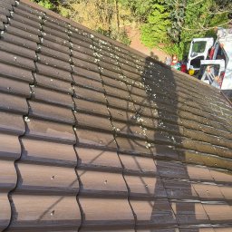 Profesjonalne mycie dachów
Używana przez nas metoda metoda pozwala dokładnie usunąć szkodliwe mchy, grzyby, glony i porosty. W pracy korzystamy wyłącznie z wysokiej klasy dysz ciśnieniowych