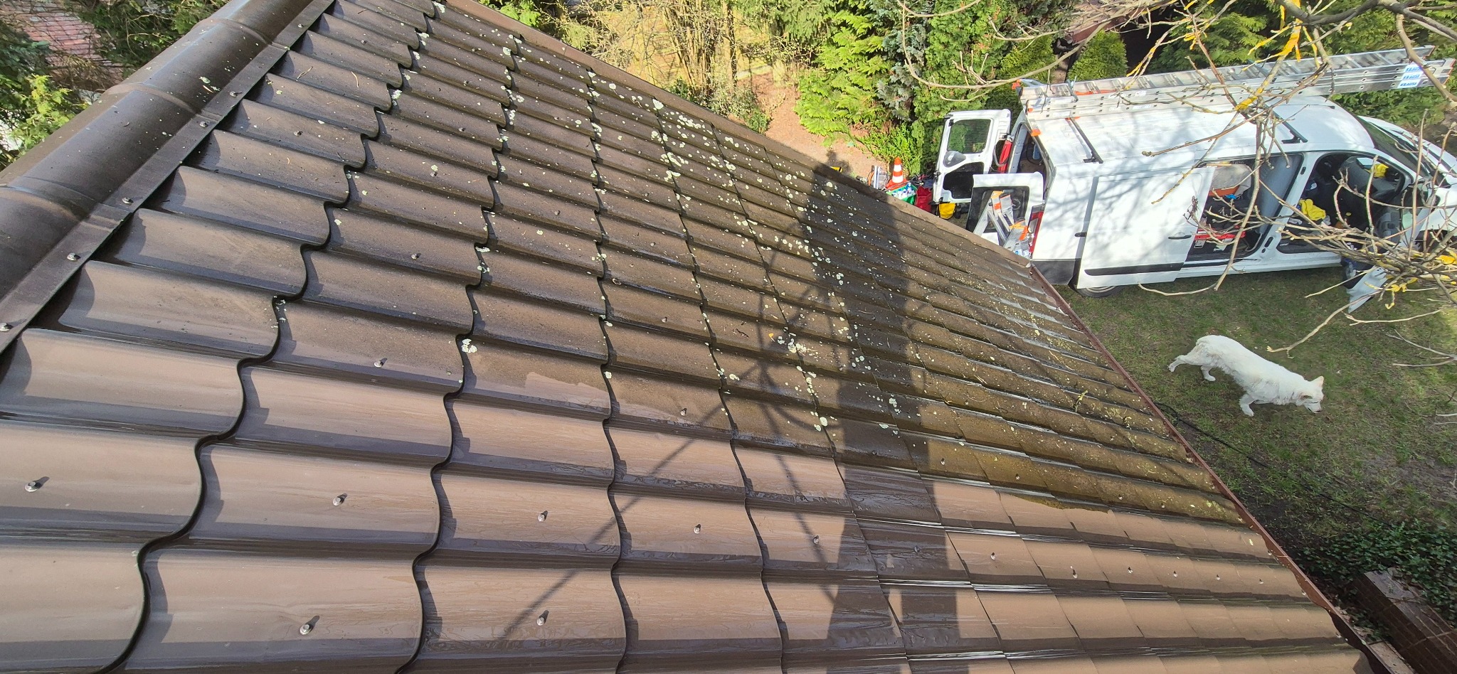 Dachówka częściowo umyta, z widocznymi zabrudzeniami i przebarwieniami. W tle samochód dostawczy z drabiną i biały pies na trawie.