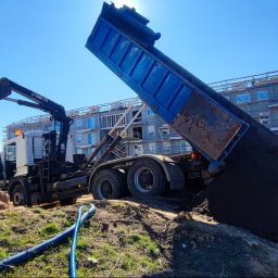 Wycinka drzew Gdynia 4