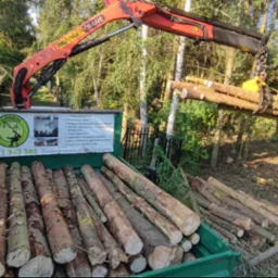 Ciężarówka z kłodami drewna, dźwig Palfinger Crane podnosi kolejne kłody. Widoczny las i logo firmy 'Drzewny Alpinista'.