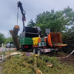 P.U.H. ALPE - EDWARD IDZI-JAROMIJ - Trawa Rolowana Gdynia