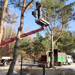 P.U.H. ALPE - EDWARD IDZI-JAROMIJ - Pracownik w koszu podnośnika tnie gałęzie drzewa. W tle rębarka do gałęzi i samochód ciężarowy. Usługa wycinki drzew w słoneczny dzień.
