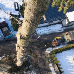 P.U.H. ALPE - EDWARD IDZI-JAROMIJ - Wycinka drzewa z użyciem podnośnika koszowego, widok z góry na pocięty pień, samochody i maszyny do utylizacji gałęzi na tle zimowego krajobrazu.