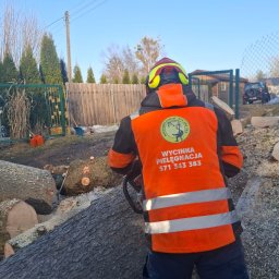P.U.H. ALPE - EDWARD IDZI-JAROMIJ - Pracownik w odzieży ochronnej z logo firmy 'Wycinka Pielęgnacja' tnie piłą powalone drzewo. W tle ogrodzenie, budynek i samochody. Widoczne ślady po wycince.