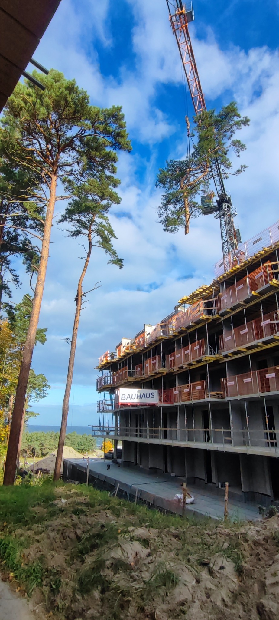 Żuraw przenosi drzewo na placu budowy wielopiętrowego budynku. W tle widoczne morze i błękitne niebo z chmurami. Dwa wysokie drzewa po lewej stronie kadru.