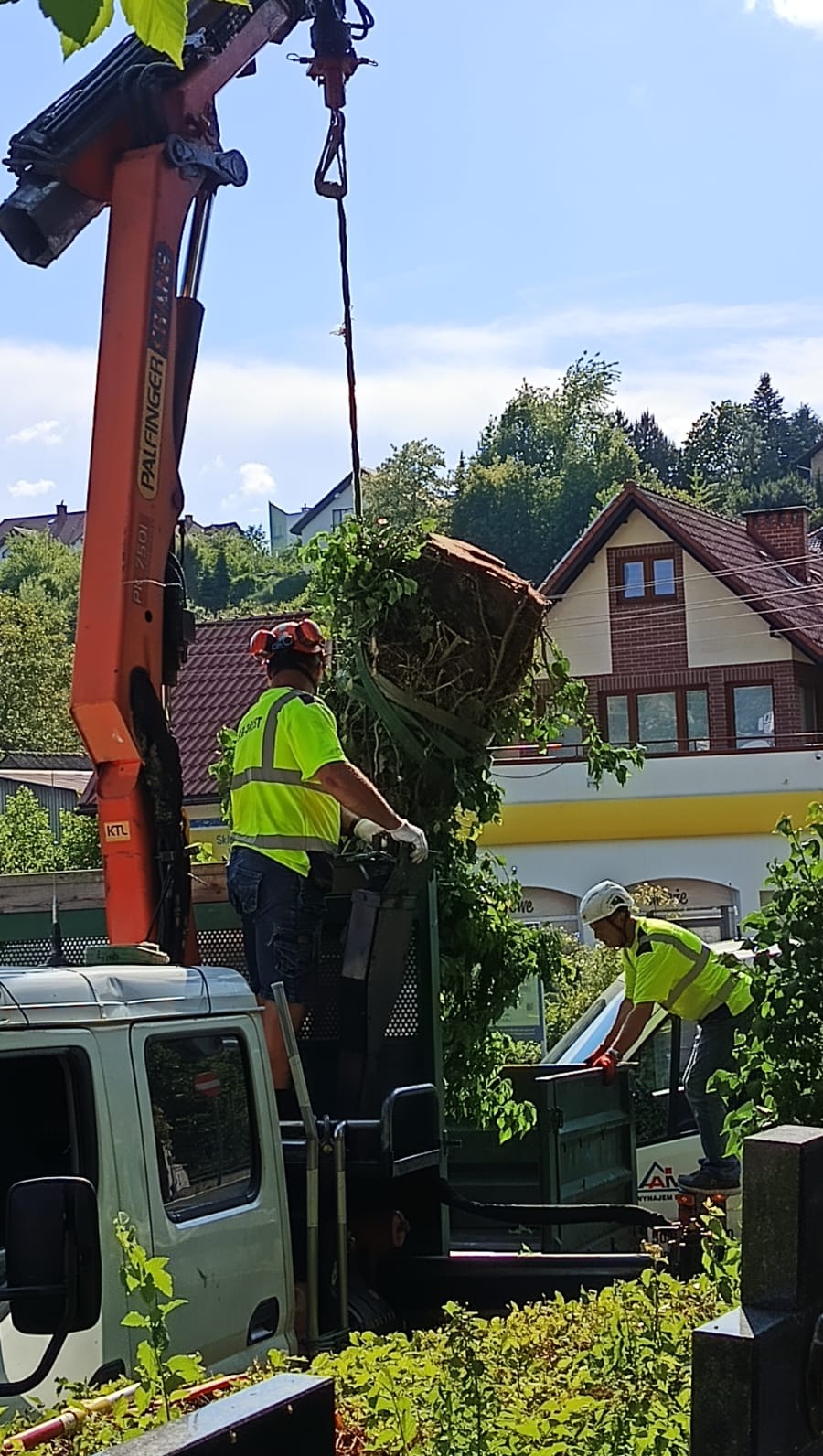 Pracownicy w odblaskowych ubraniach usuwają wycięte drzewo za pomocą dźwigu samochodowego. W tle zabudowa mieszkalna i błękitne niebo.