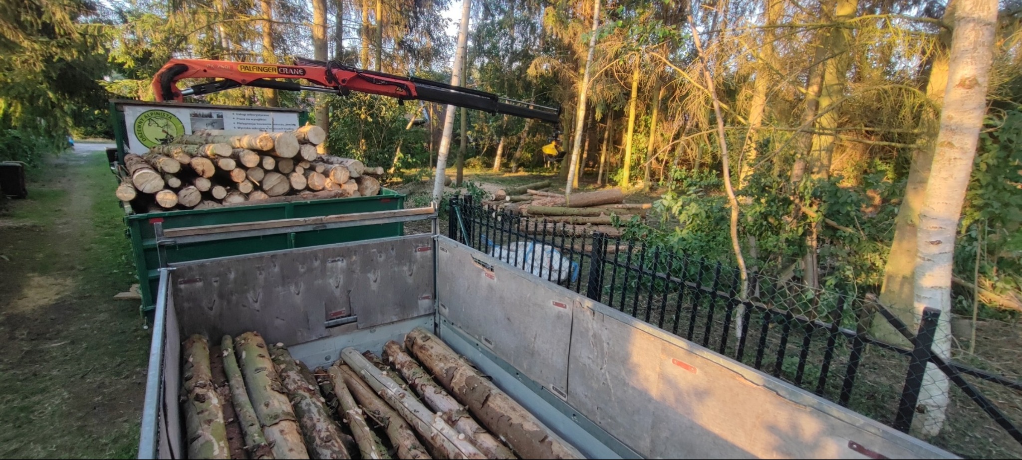Załadunek drewna dźwigiem Palfinger Crane do przyczepy. W tle ścięte pnie drzew w zaroślach. Usługi arborystyczne.