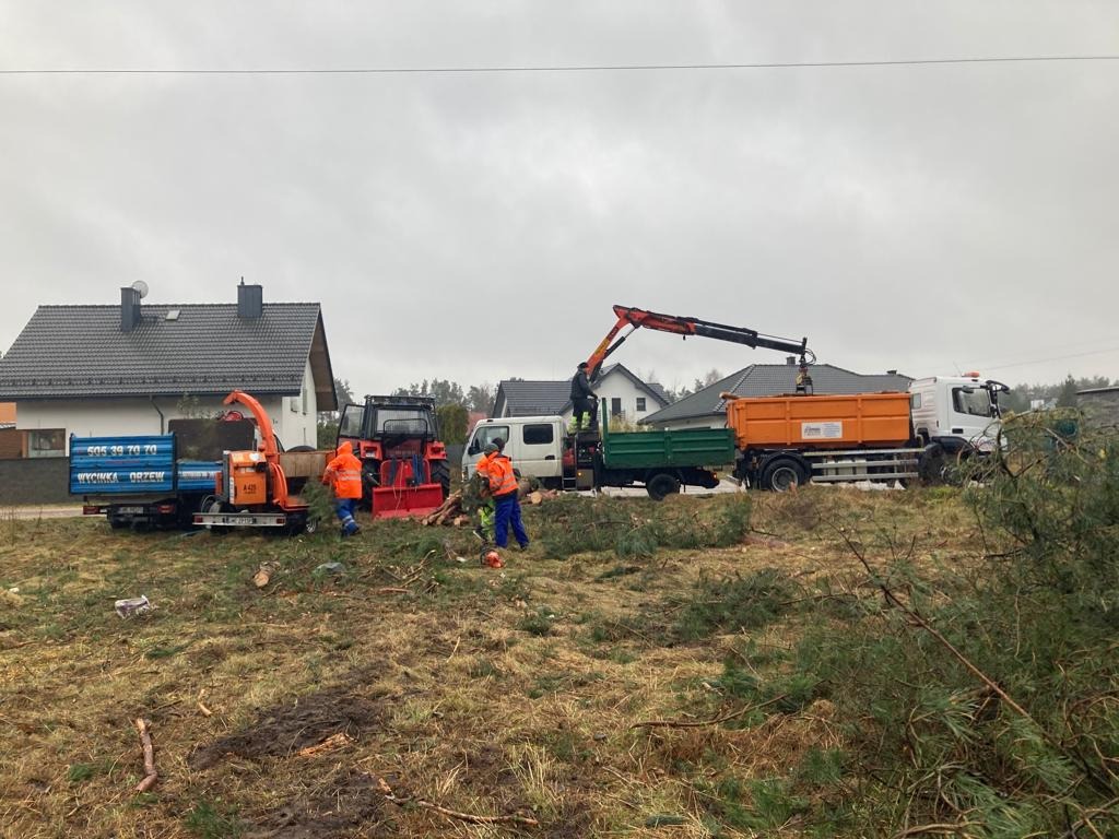 Ekipa w pomarańczowych strojach i ciężki sprzęt podczas wycinki drzew na działce, zrębkowanie gałęzi i załadunek na ciężarówki. Praca w toku.