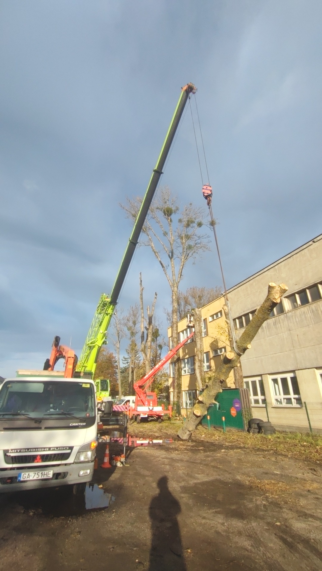 Wycinka drzewa obok budynku za pomocą dźwigu i podnośnika koszowego. Odcięty fragment zawieszony na linie. Na pierwszym planie samochód ciężarowy.