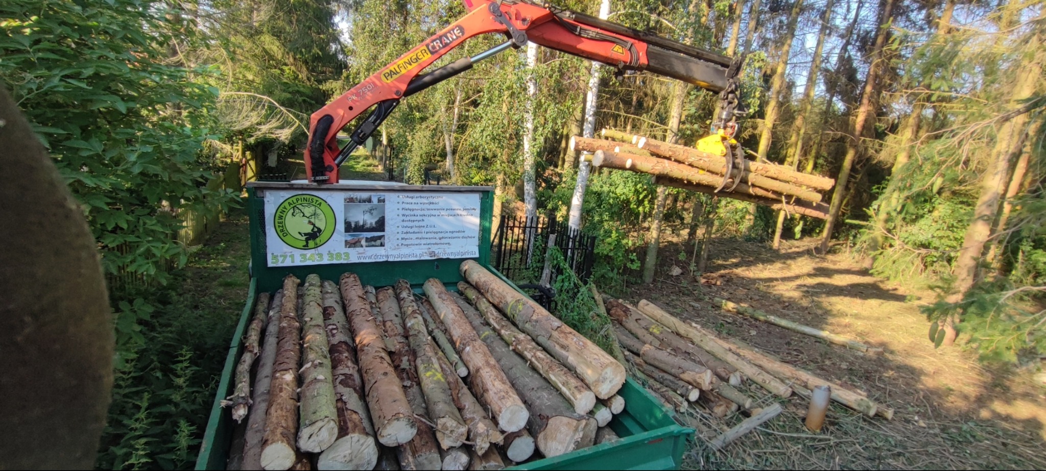 Ciężarówka z kłodami drewna, dźwig Palfinger Crane podnosi kolejne kłody. Widoczny las i logo firmy 'Drzewny Alpinista'.
