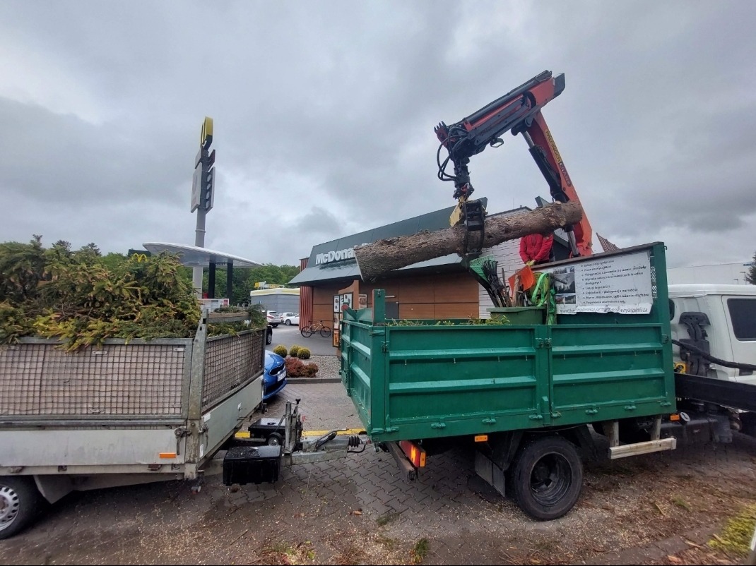 Załadunek drewna dźwigiem na przyczepę w pobliżu restauracji McDonald's. Prace związane z wycinką drzew. Przyczepa pełna zielonych gałęzi.