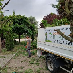 Zielak ogrody - Zakładanie Ogrodów Żukowo