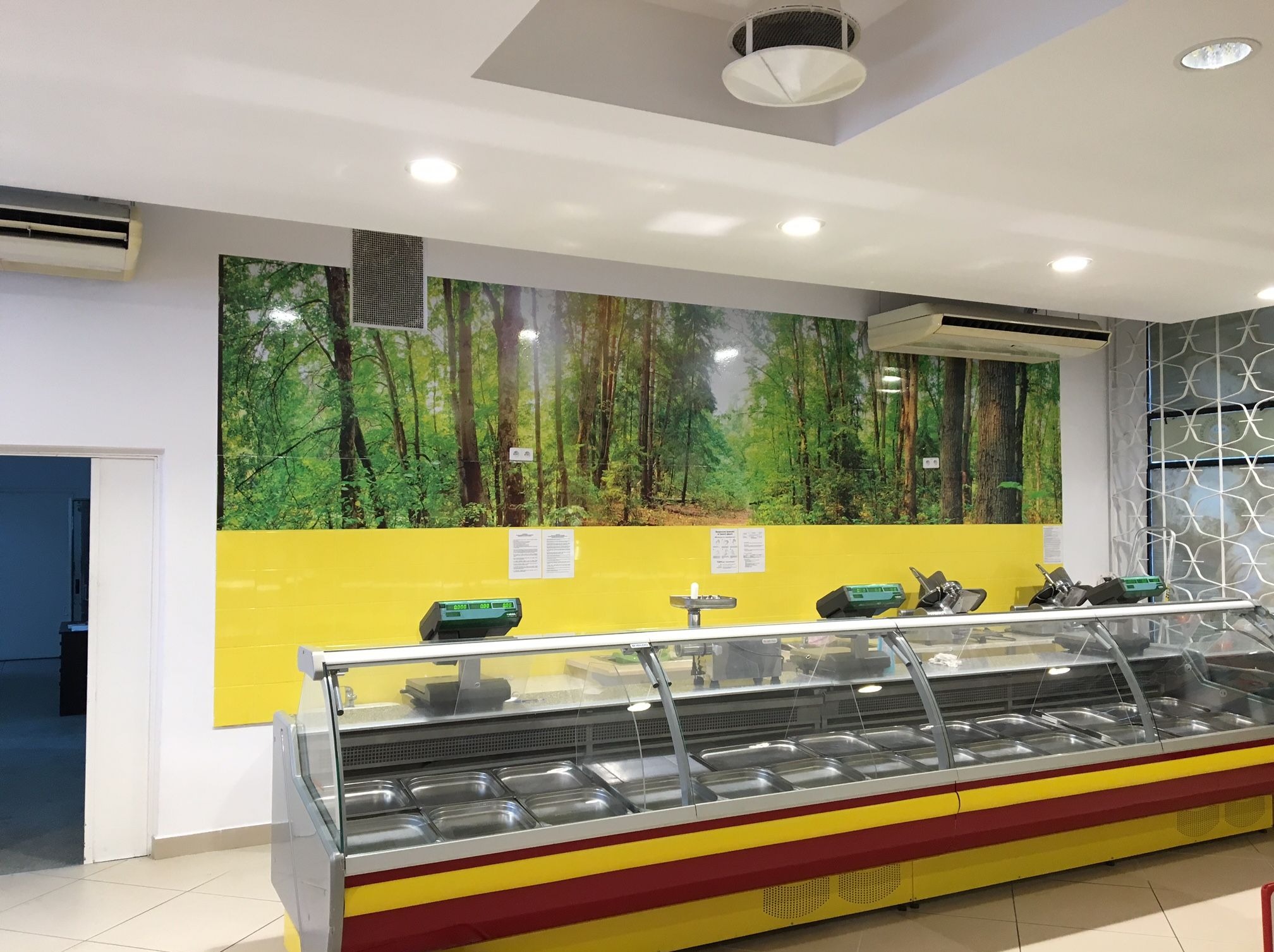 Wnętrze sklepu spożywczego z ladą chłodniczą, wagami i fototapetą leśną na ścianie. Jasne oświetlenie, płytki na podłodze. Widok na puste pojemniki w ladzie.