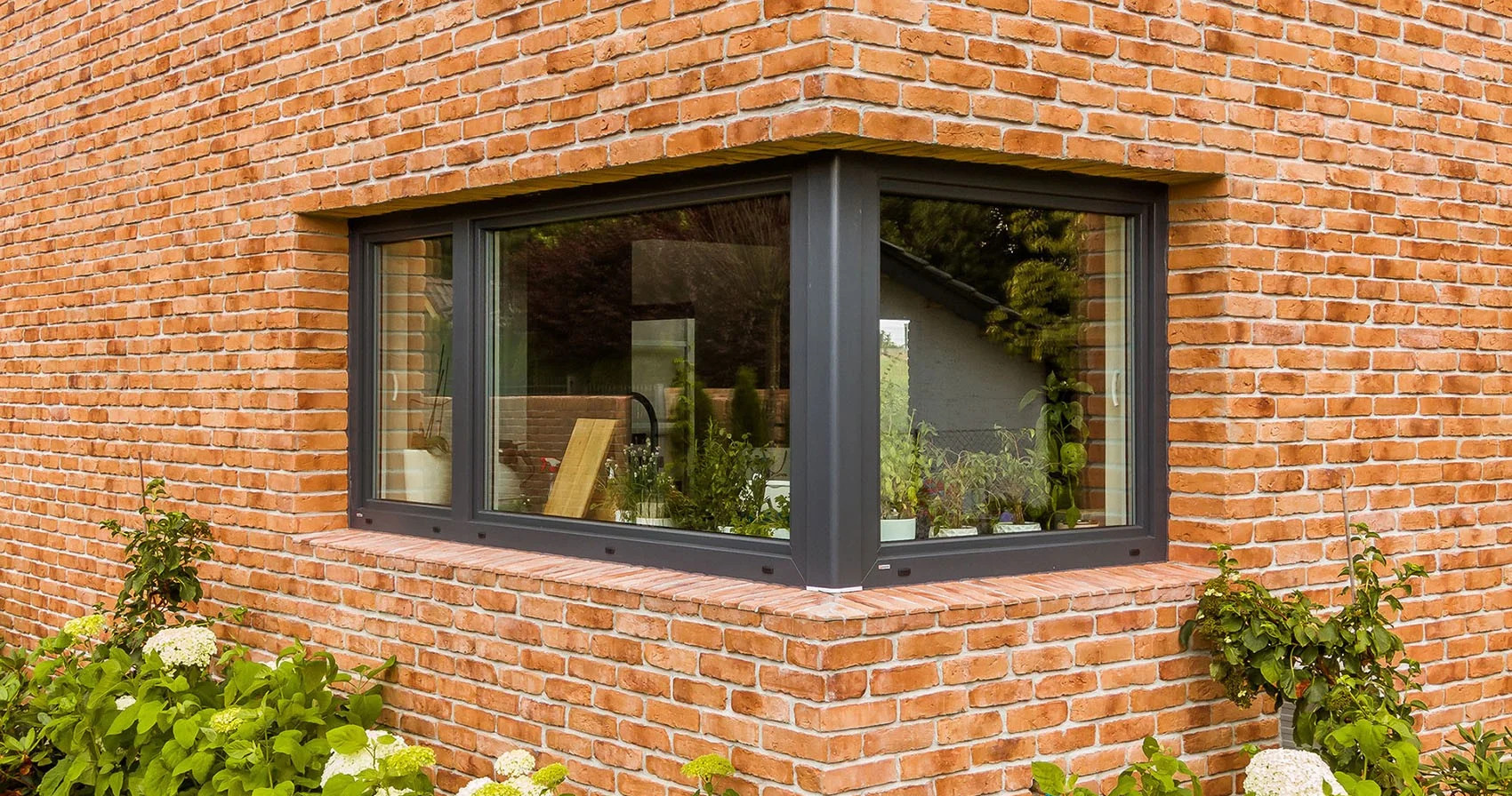 Narożne okno z ciemną ramą w elewacji z czerwonej cegły, widok z zewnątrz, rośliny w doniczkach widoczne przez szybę, krzewy kwitnące u podstawy ściany.