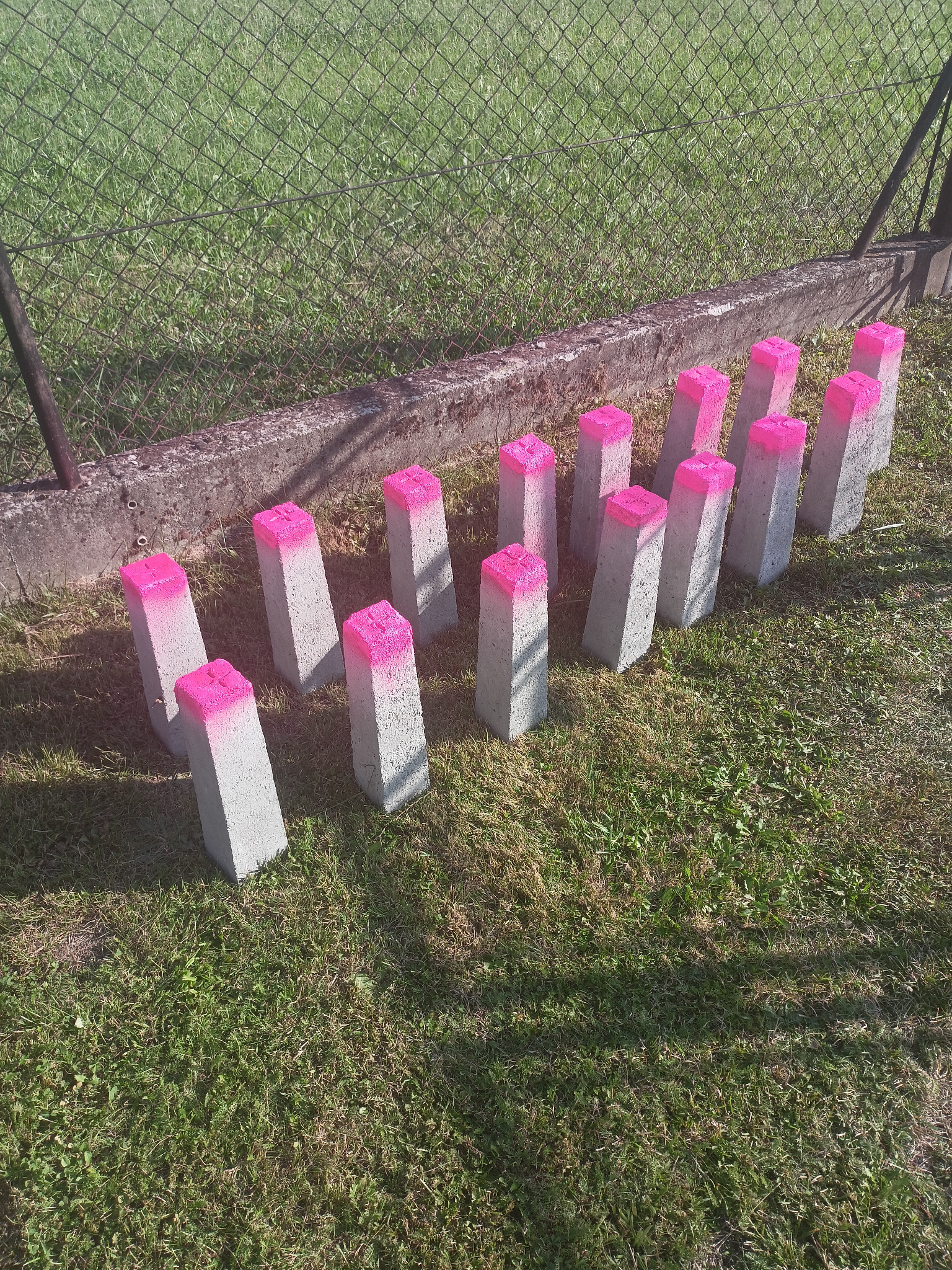 Betonowe słupki graniczne pomalowane na różowo, ustawione na trawie przy siatce ogrodzeniowej, wyznaczające teren.