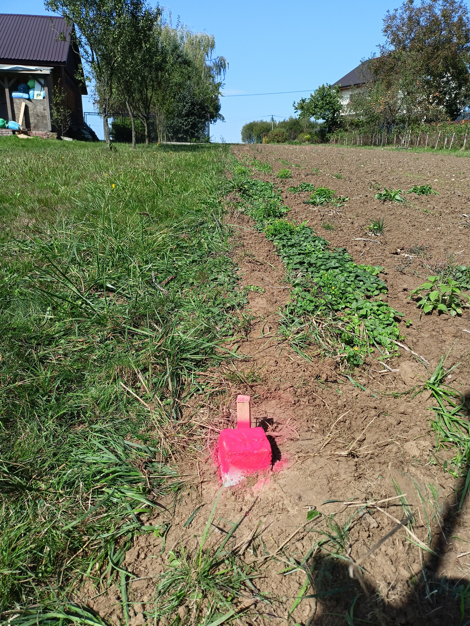 Wytyczenie granicy działki z użyciem palika geodezyjnego pomalowanego na różowo, wbitego w ziemię porośniętą trawą. W tle pole uprawne i zabudowania.