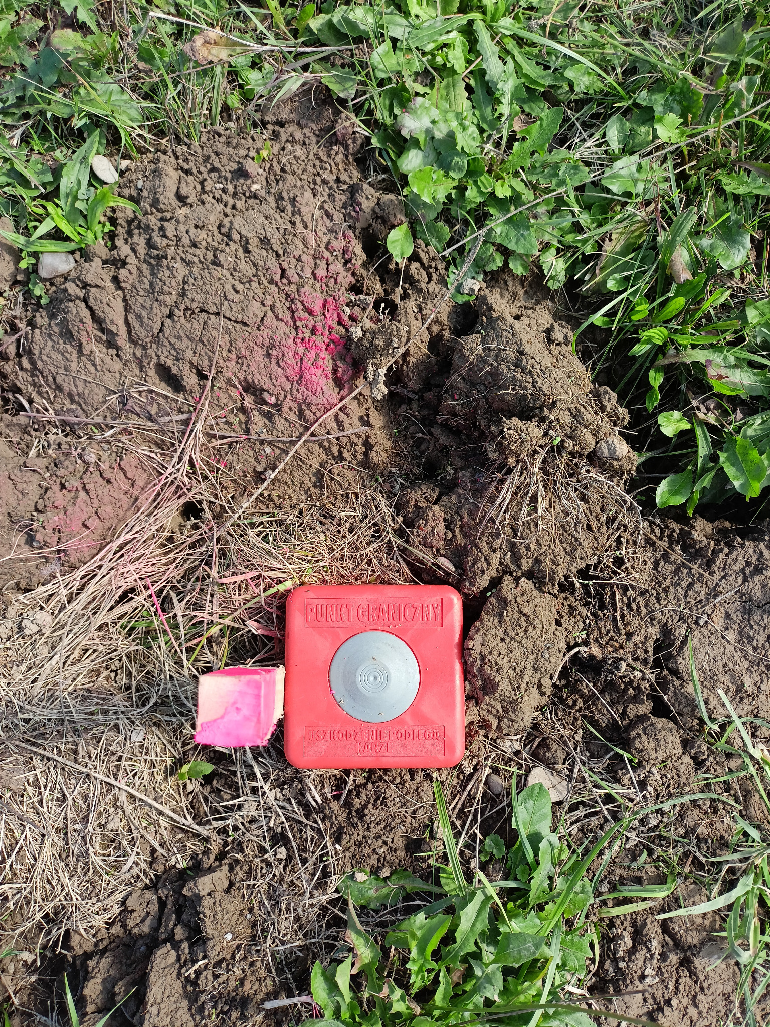 Punkt graniczny w gruncie, oznaczony czerwoną kostką i różowym znacznikiem, otoczony trawą i ziemią. Wyraźne oznaczenie granicy działki.