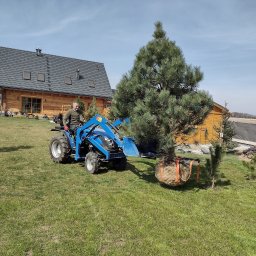AGAPANT - Rośliny i podłoża Oleśnica