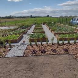 Niwelacja terenu Bierutów 1