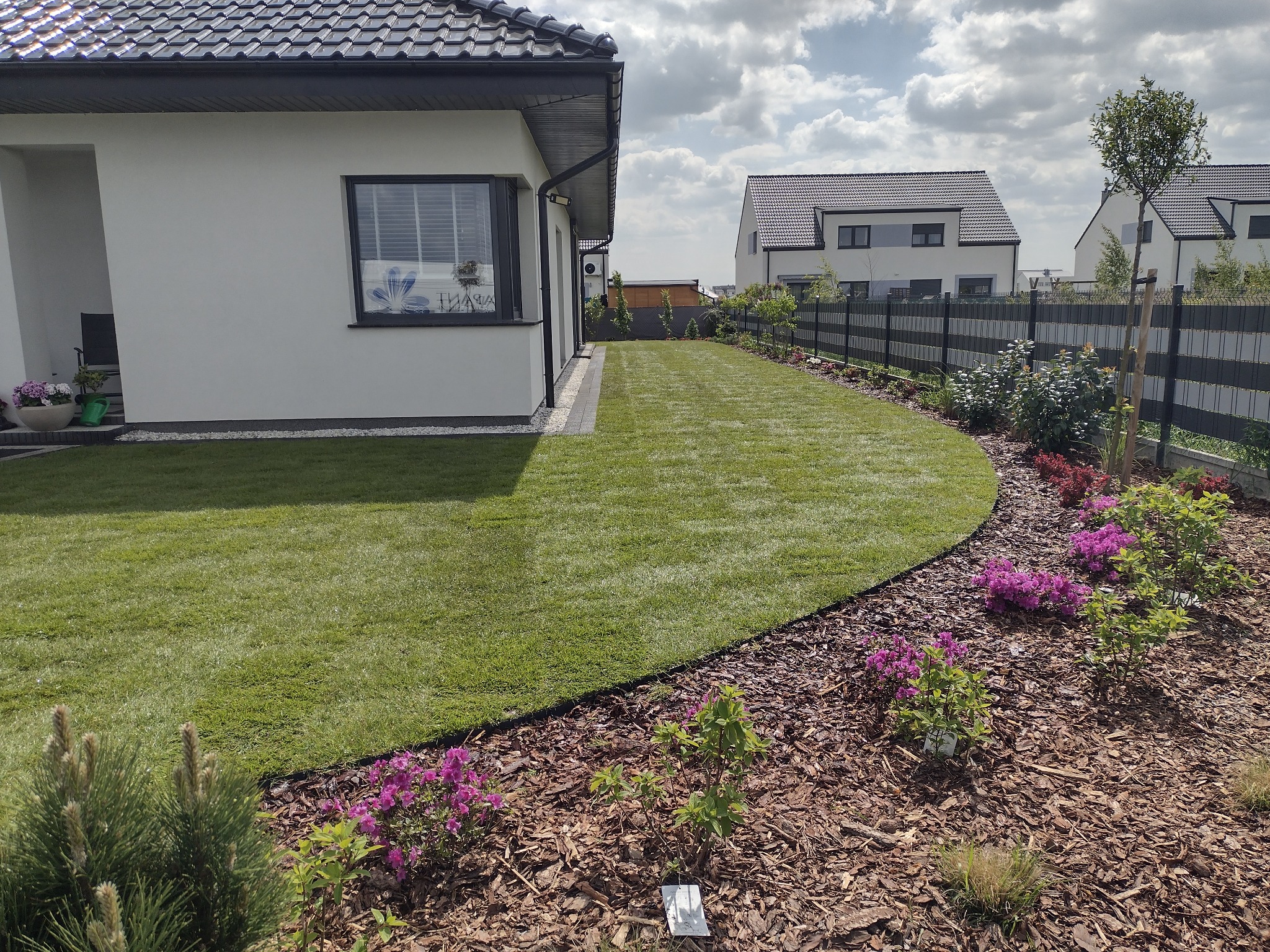 Zadbany trawnik z obrzeżem z kory, ozdobiony kwitnącymi azaliami i młodymi drzewkami, przylegający do nowoczesnego domu z szarą elewacją i ciemną dachówką.