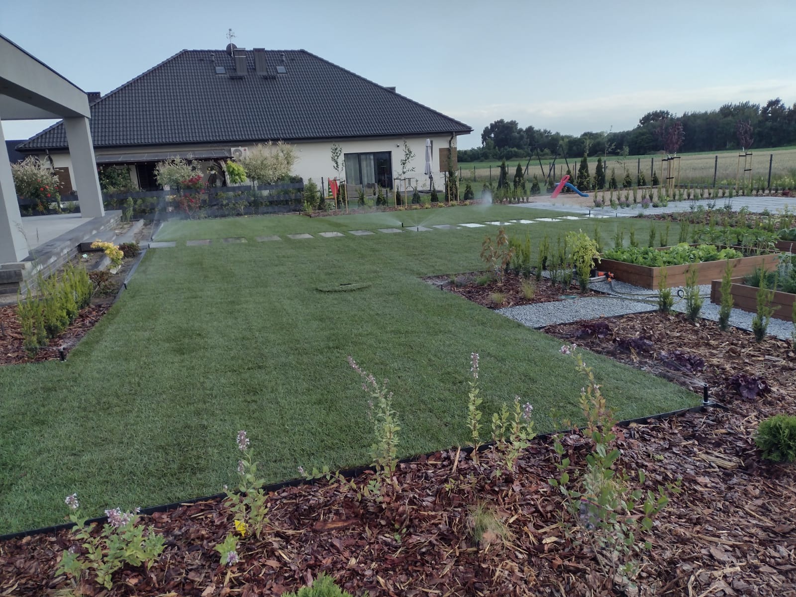 Nowoczesny ogród z trawnikiem z rolki, systemem nawadniania i rabatami z korą. Dom z ciemnym dachem w tle. Widoczne zraszacze w akcji.