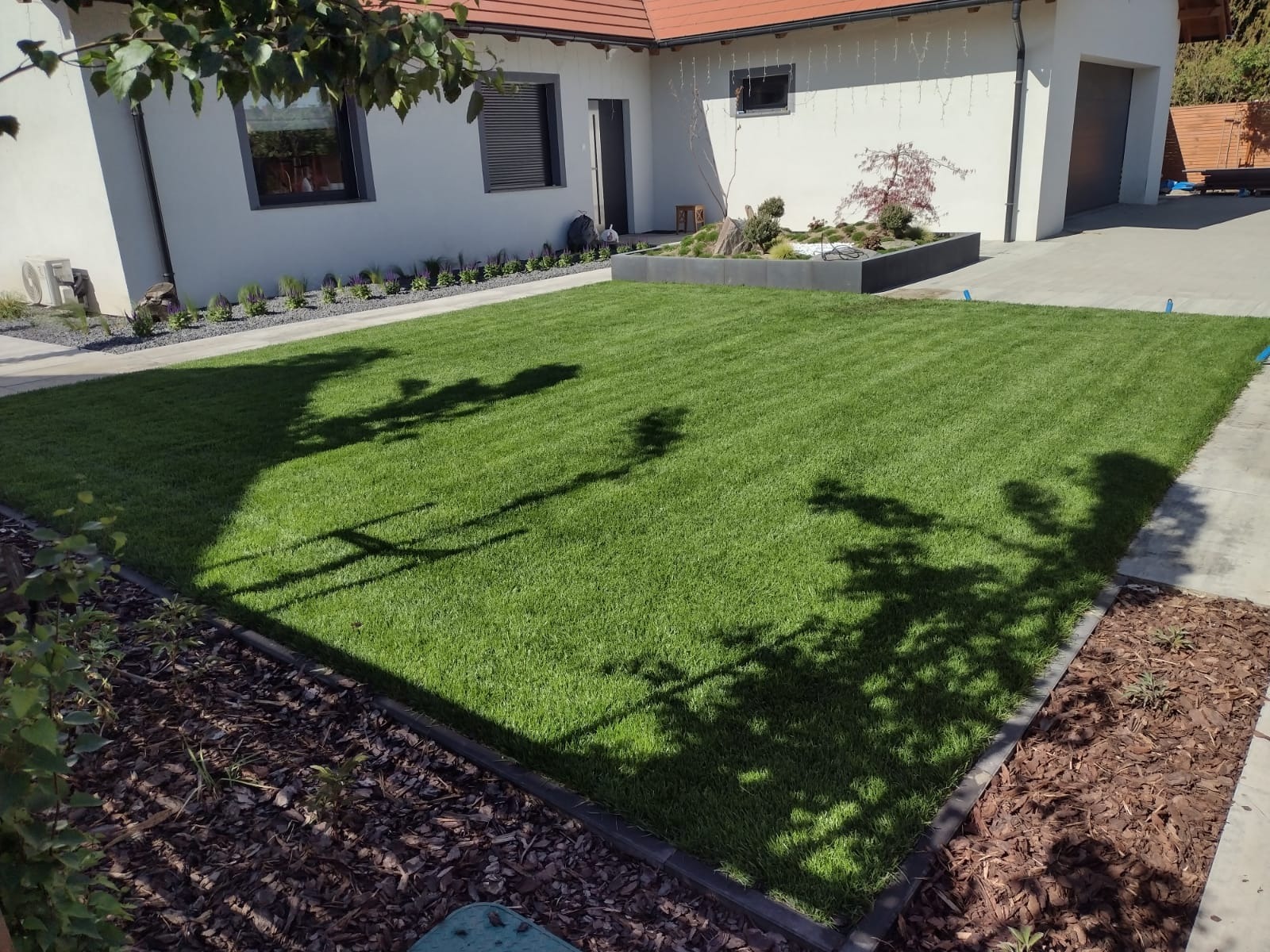 Idealnie równy trawnik z rolki przed nowoczesnym domem. Ciemne cienie drzew na zielonej trawie. Estetyczne obrzeża i rabaty z korą.
