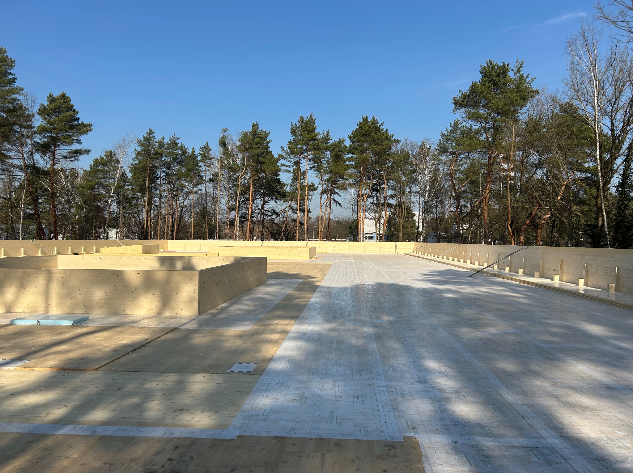 Wczesny etap budowy domu z drewnianą konstrukcją szkieletową na przygotowanym fundamencie. Widoczne ściany wzniesione do niskiego poziomu i drzewa w tle.