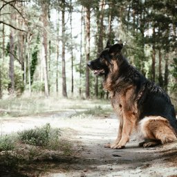 Fotograf eventowy Elbląg 4