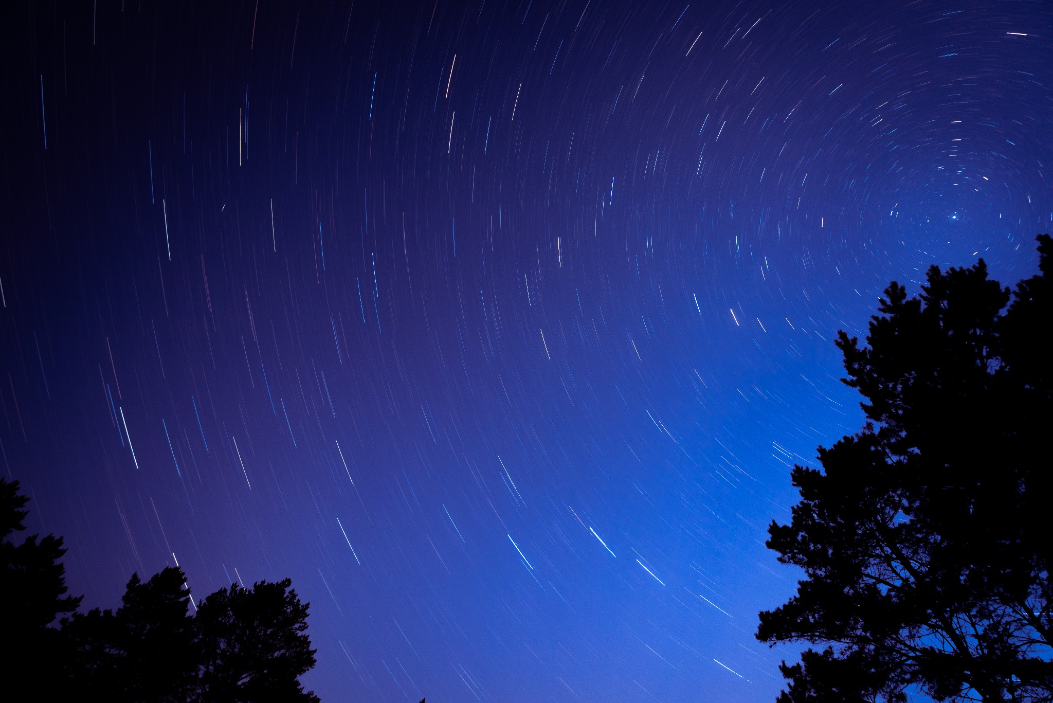Nocne niebo w odcieniach granatu z długą ekspozycją, ukazujące ruch gwiazd w formie smug światła. Sylwetki drzew w dolnej części kadru dodają głębi.