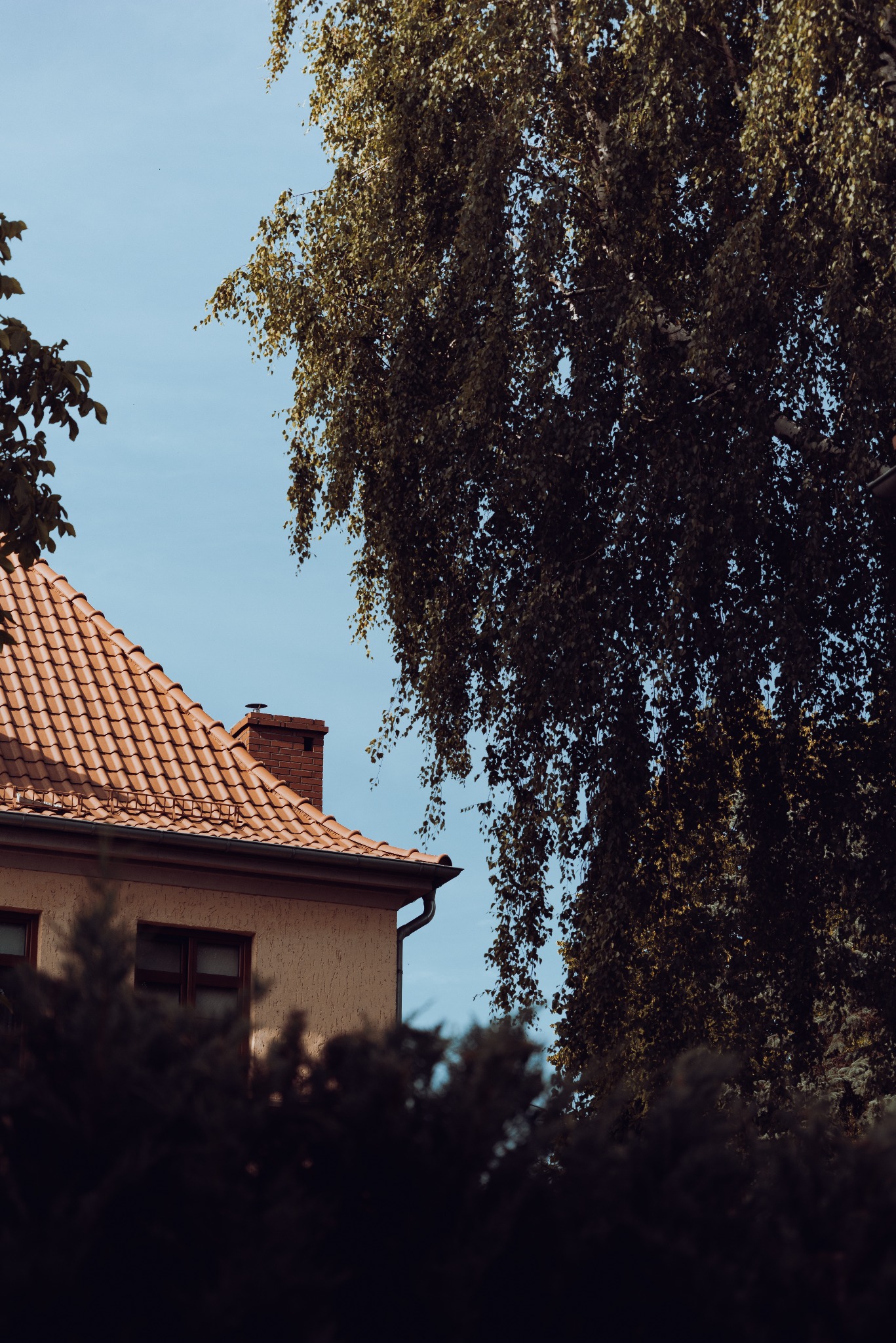 Fragment domu z czerwoną dachówką i kominem, częściowo zasłonięty przez drzewo z opadającymi gałęziami na tle jasnego nieba.