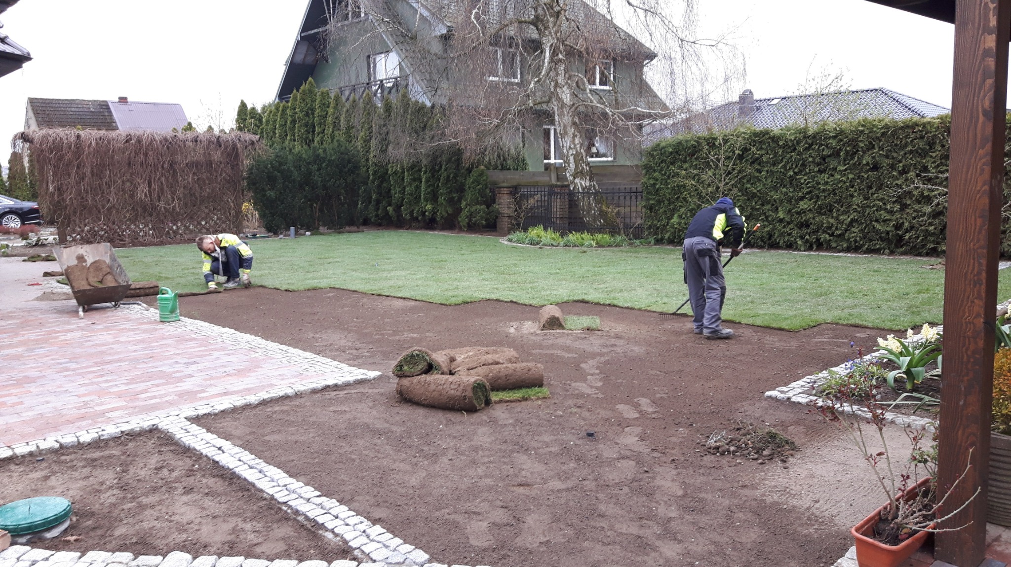 Montaż trawy z rolki w Gryficach. Dwóch pracowników rozkłada trawnik, widoczne rolki trawy, część trawnika już ułożona. Tło: dom, drzewa i krzewy.