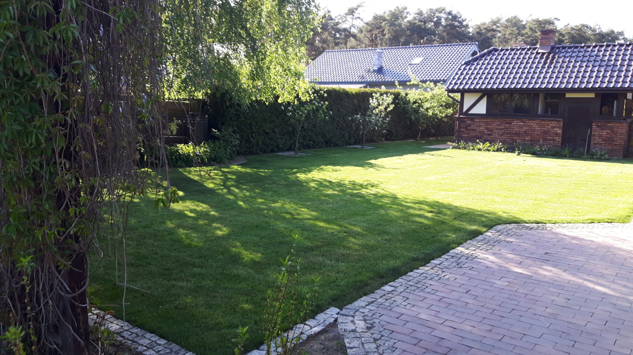 Zadbany trawnik w ogrodzie, z widocznymi nasadzeniami, obrzeżami z kostki granitowej i fragmentem tarasu z cegły. W tle budynek z cegły i starannie przycięty żywopłot.