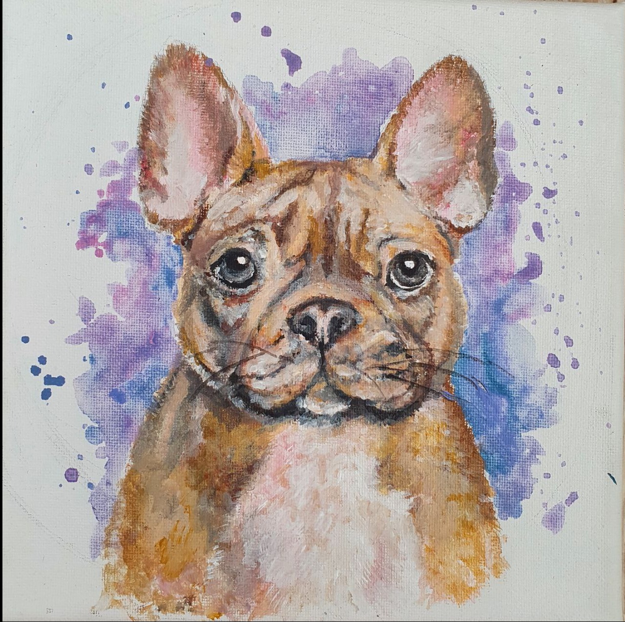 Akwarela przedstawia portret buldoga francuskiego z plamami fioletu w tle, namalowanego na płótnie. Widoczne detale sierści i wyraz pyska.