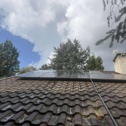 Wycinka drzew Lublin 4