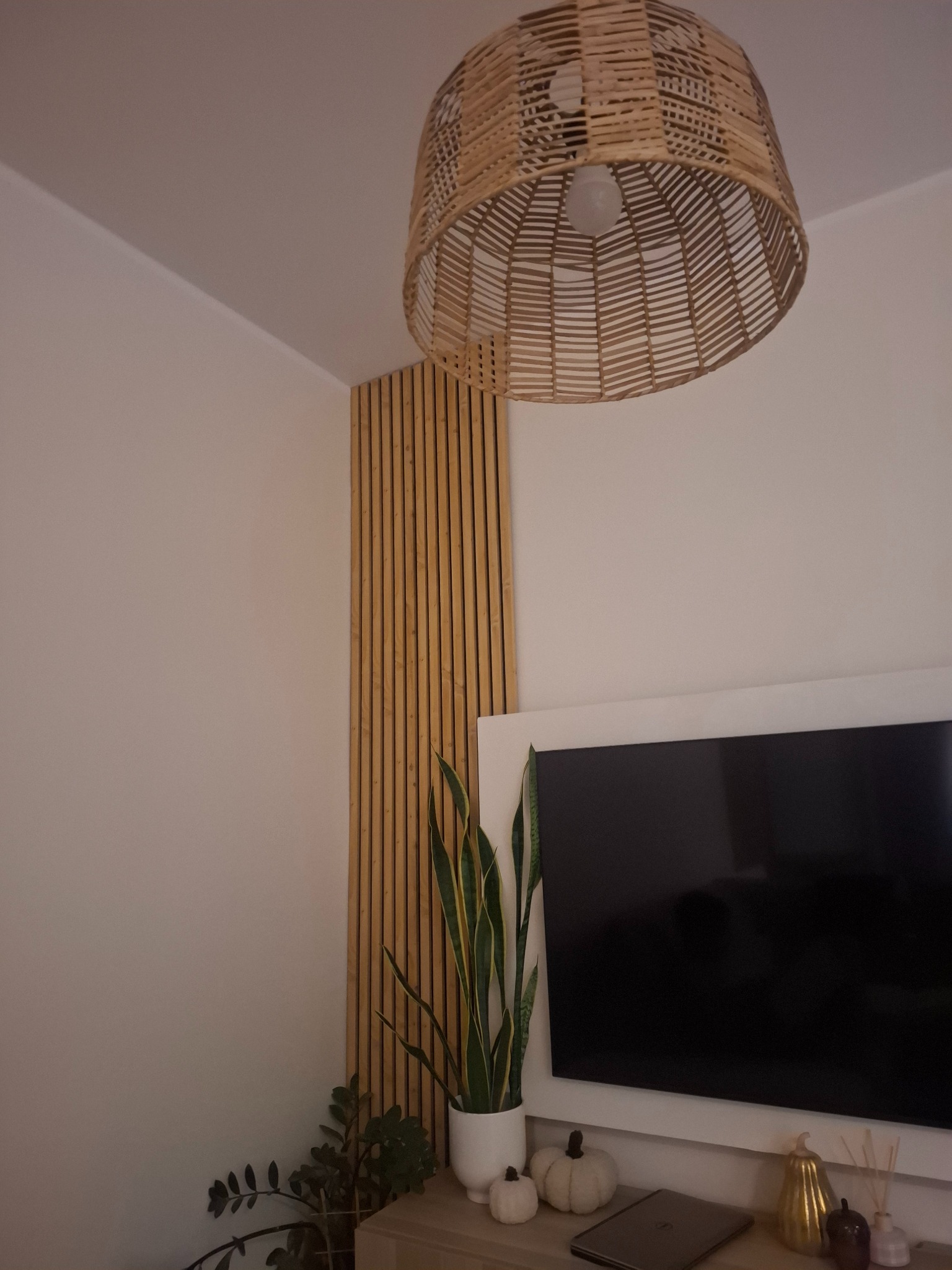 Nowoczesny salon z drewnianą lamelą na ścianie, rattanowym abażurem lampy i dekoracjami na szafce RTV. Minimalistyczny design, ciepłe oświetlenie.