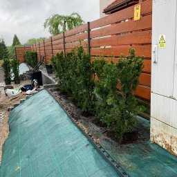 Ogrody Romana - Szpaler świeżo posadzonych, iglastych krzewów wzdłuż brązowego płotu, na tle domu i pochmurnego nieba. Widoczna zielona agrowłóknina i narzędzia ogrodnicze.