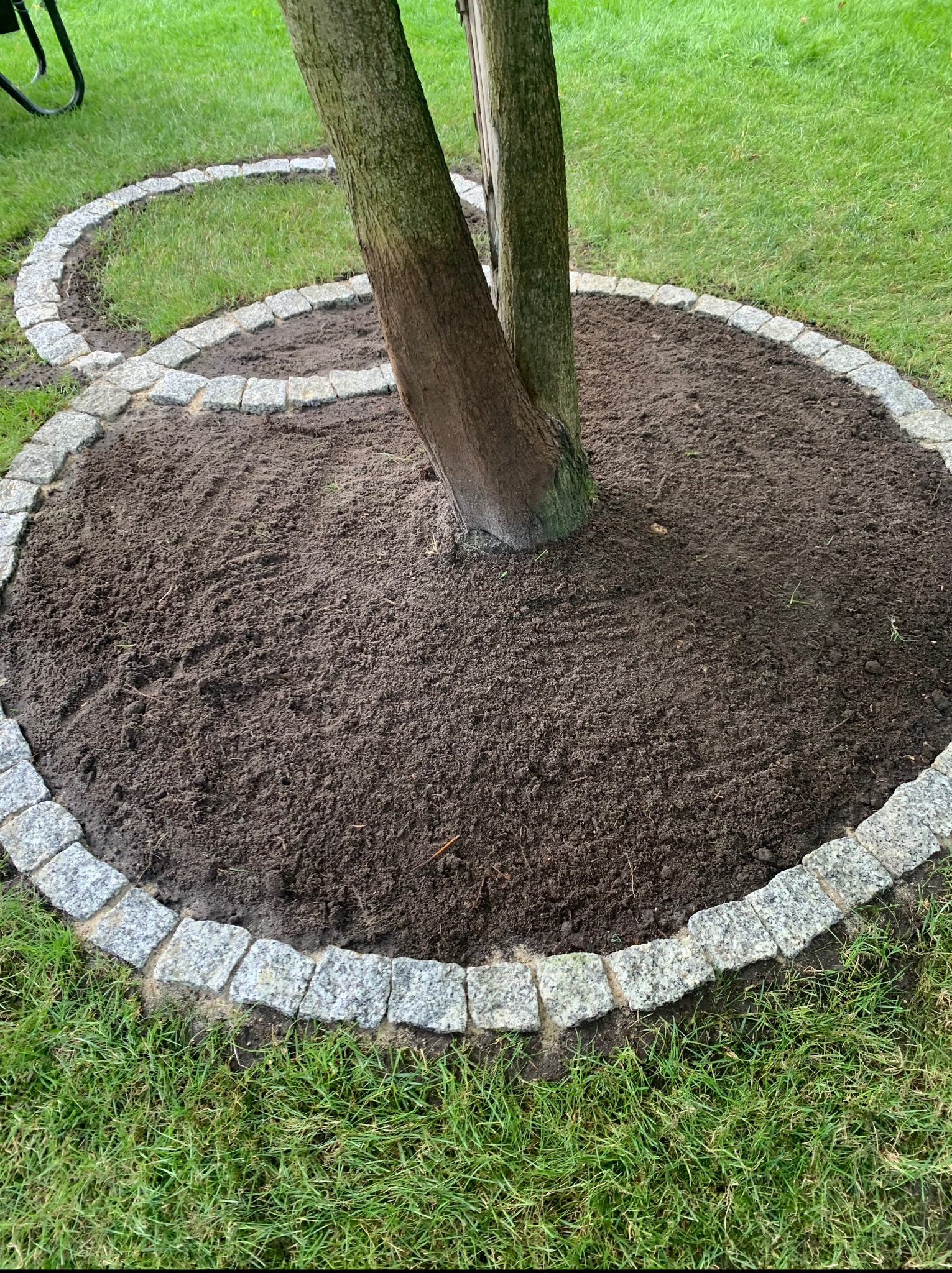 Obrzeże z kostki granitowej wokół drzewa, wypełnione ziemią. Dodatkowe obrzeże w tle. Widok z góry na trawnik z elementami zagospodarowania.