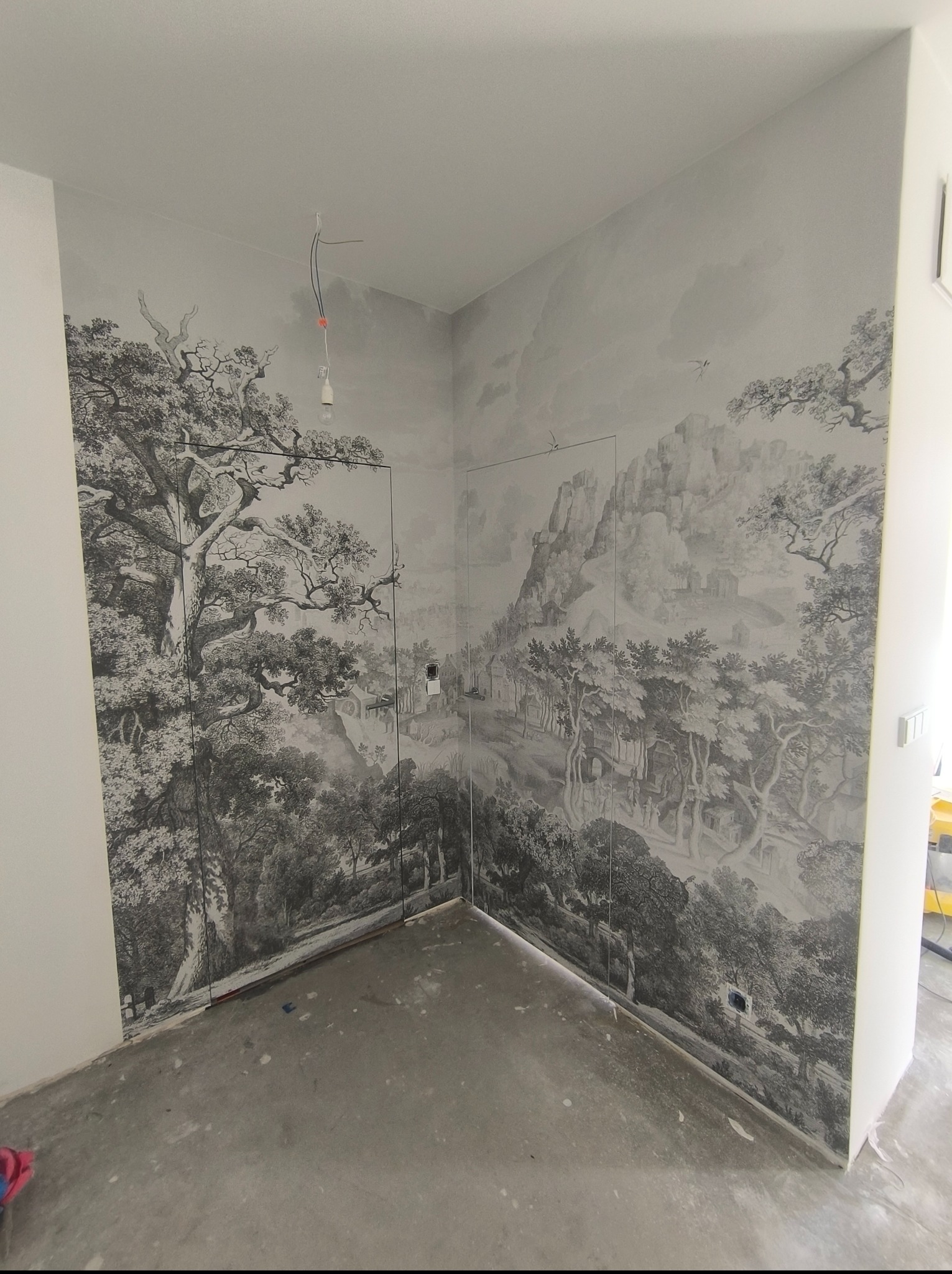 Tapeta z motywem pejzażu w odcieniach szarości, pokrywająca ściany pomieszczenia z widocznymi drzwiami i surową podłogą, tworząca iluzję rozległego krajobrazu.