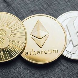 Księgowy Włodawa - avatar