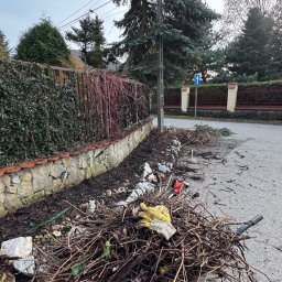 Piotr Babiarz - Sadzenie drzew i krzew&oacute;w Chrzan&oacute;w