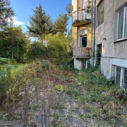 Piotr Babiarz - Zarośnięty ogród przy budynku z balkonami. Chwasty na betonowej nawierzchni, bujna roślinność zasłaniająca część elewacji. Zaniedbany teren zielony.